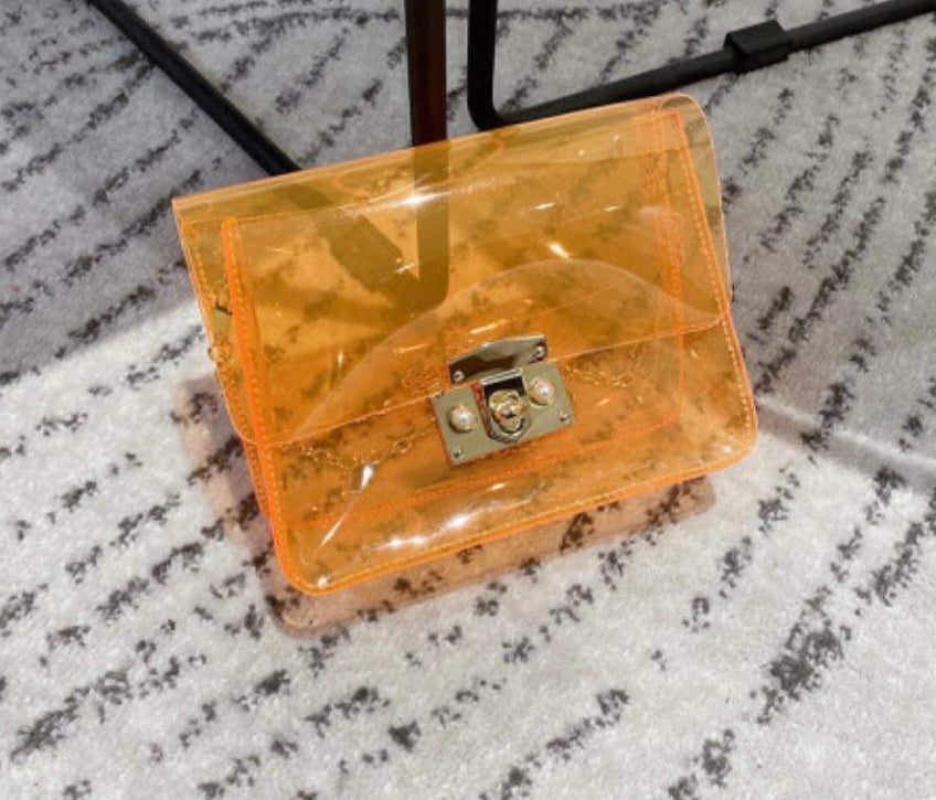 Transparent Mini Bag