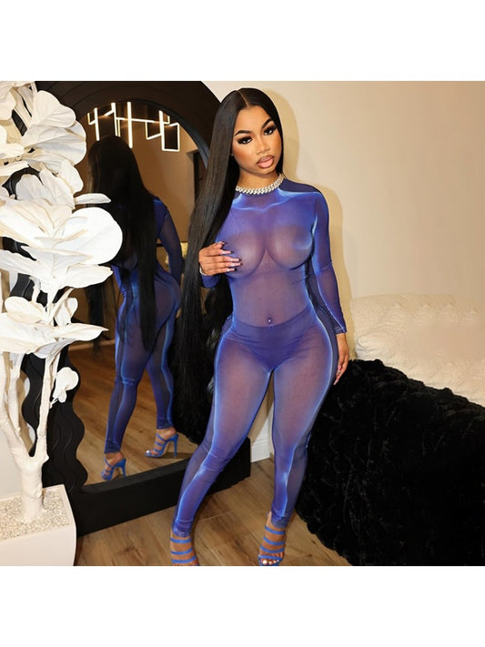 See Through Fitted Jumpsuit