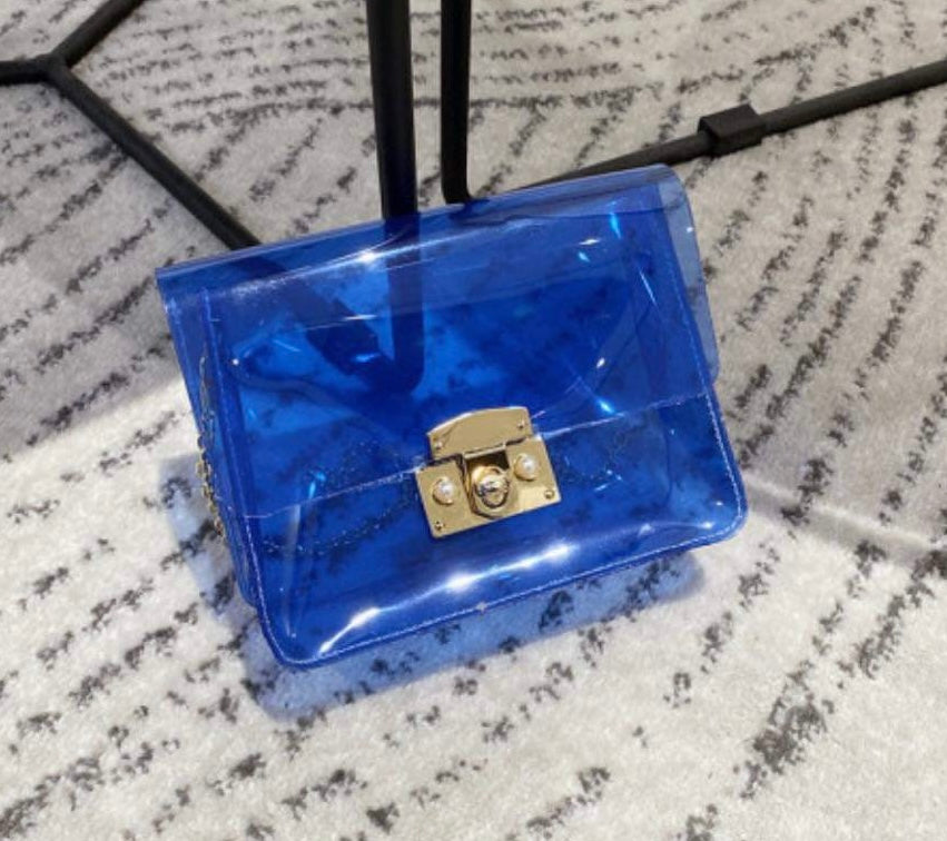 Transparent Mini Bag