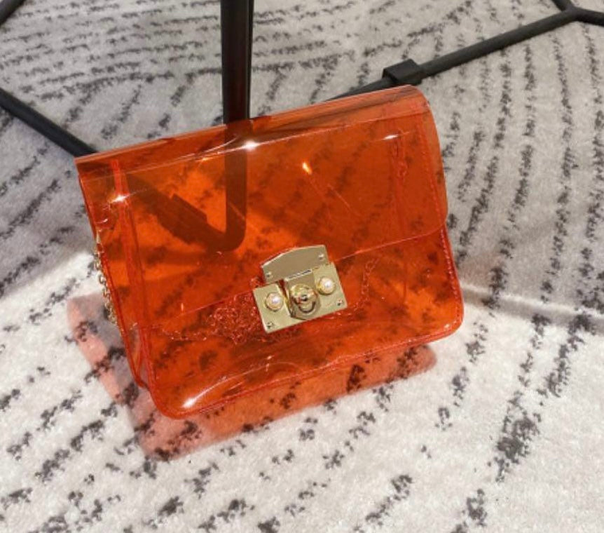 Transparent Mini Bag