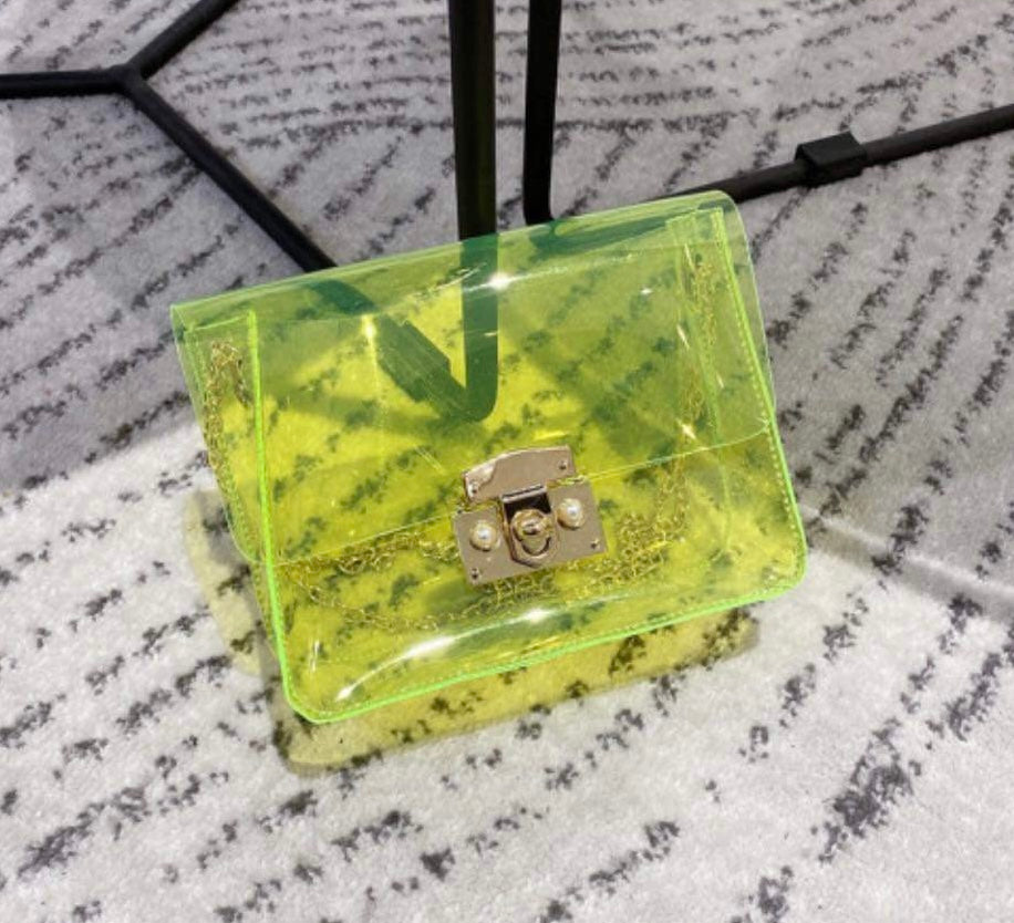 Transparent Mini Bag