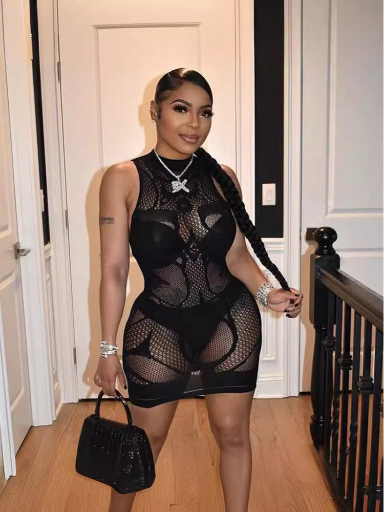 See Through Mini Dress