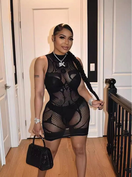 See Through Mini Dress