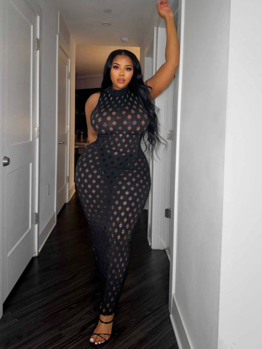 Plus Size Sexy Gauze Dress